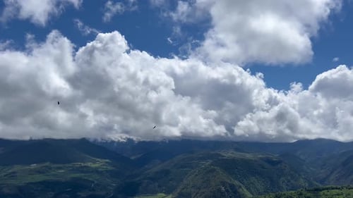 Vultures soaring in the sky over Serra del Cadi, La Cerdanya, Spain
