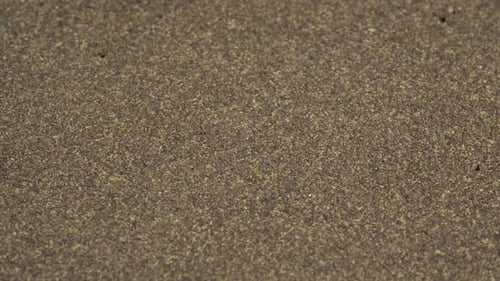 Pressed ground black pepper background rotate. Dry seasoning pepper. Spices and herbs for cooking