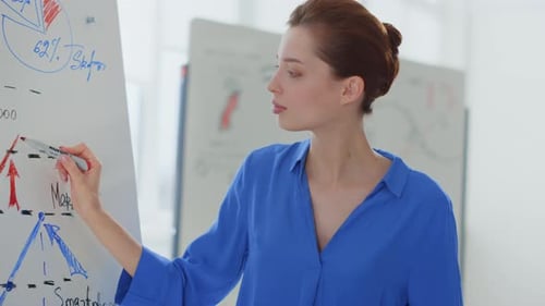 Beautiful businesswoman drawing diagram on flip chart in modern office space