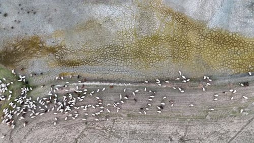 Climate Change And Ecology