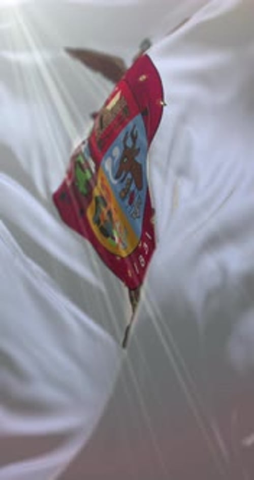 Flagge von Sinaloa