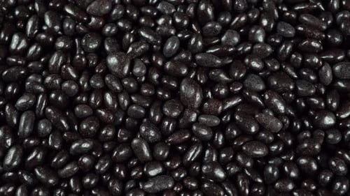 Heap of Shiny Chocolate-Covered Sunflower Seeds