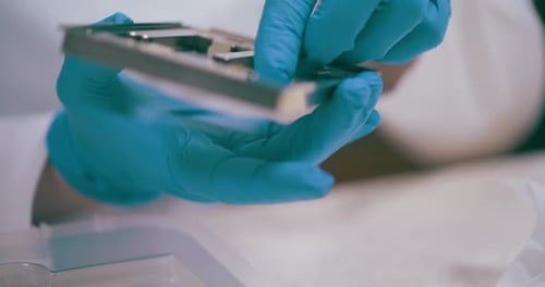 Scientist Working in Medical Laboratory Cancer Research Covic 19 Pandemic