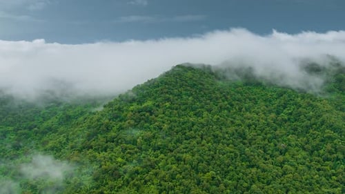 Beautiful aerial view of the valley landscape in the morning.