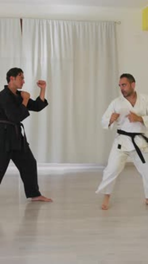 Student And Master Practicing Karate Sports Kicks In The Gym