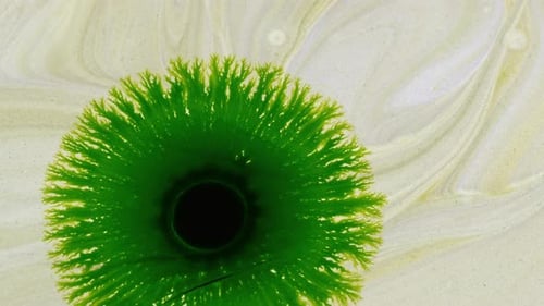 Ink Drops And Spread On White Surface 14