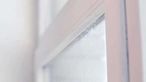 Window Cleaning with a Sponge Squeegee Tool