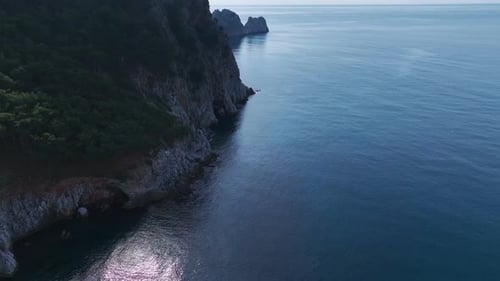 Aerial Video of a Serene Ocean Scene With Dense Green Trees a Rocky Shoreline and Bright Blue Water