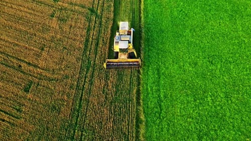 Aerial Drone View of a Combine Harvester Driving Along the Edge of a Golden Wheat Field