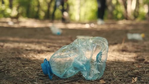 Volunteers Cleaning Up Plastic Bottles in Forest