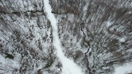 Snowy Forest and Road