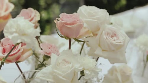 Pink and White Roses in an Elegant Arrangement