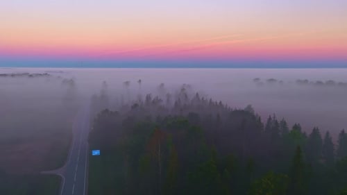 Aerial view of a road forest at sunrise with a thick layer of fog covering the landscape