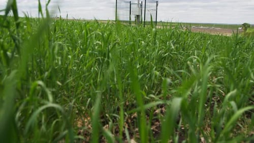 Blick vom Gras auf die moderne seismologische Station