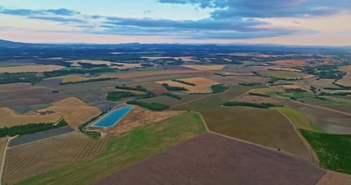 Aerial View of Lavender Field in Provence France Blooming Violet Fragrant Lavender Flowers at Sunset