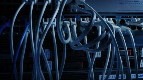 Close-up Macro Shot: Ethernet Cables Connected to Router Ports. Telecommunications: RJ45 Device Con