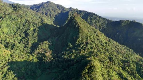 Aerial scenery of tropical forest and hills.