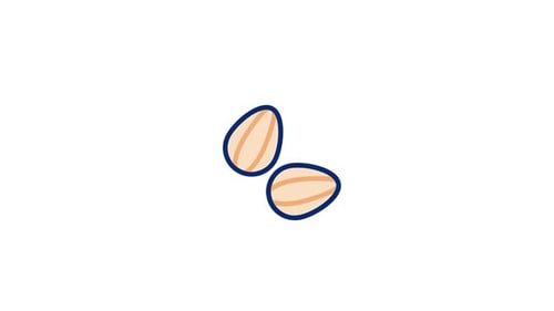Almonds Animated Icon
