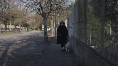 Woman Walking Dog on Urban Sidewalk