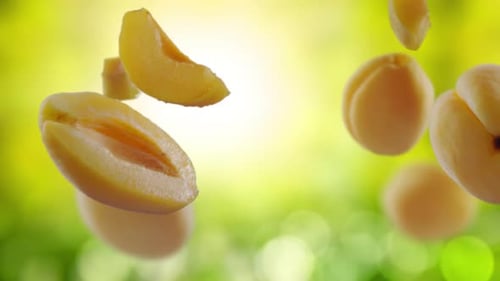 Flying Apricot and Apricots Slices in Green Garden Orchard Shiny Background