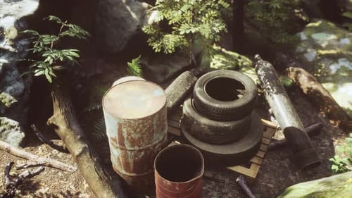 Old Used Wheels in the Tropical Forest As Pollution Concept