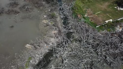 Broken Woods in Coastal Neighborhood of San Juan, Consequences of Hurricane Maria Disaster, Birdseye