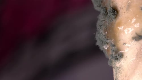 Ansicht von Schimmel, der sich auf einem Papierstrohhalm ausbreitet und Pilzwachstum und Oberflächendetails zeigt