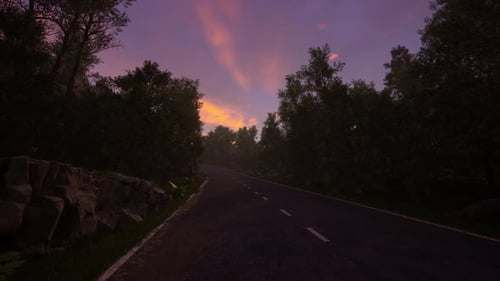 Serene Forest Road at Sunset with Vibrant Sky