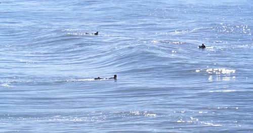 Surfers enjoying the waves on a sunny afternoon in daytona beach Florida slow motion
