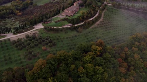 Aerial view of countryside with villa and cypress trees, Italy.