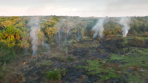 Wide aerial landscape showing multiple smoke plumes rising from a large deforested area at sunset