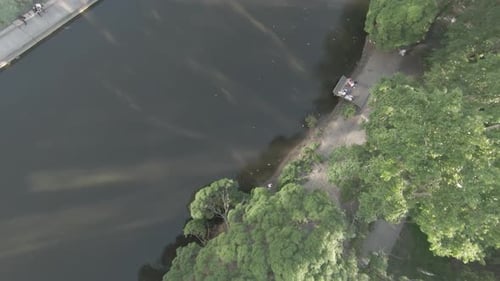 Beautiful Drone Flight Over the River in the City Park of Yekaterinburg Footage Bird's Eye View of