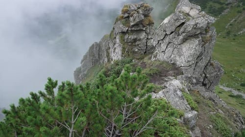 On Top of a Rocky Mountain Among White Clouds and Christmas Trees