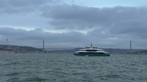 Passenger Ferry Sailing in Istanbul Bosphorus with Seagulls and City Skyline