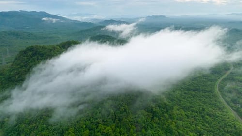 Aerial view morning scenery Mist flowing over the high mountains.
