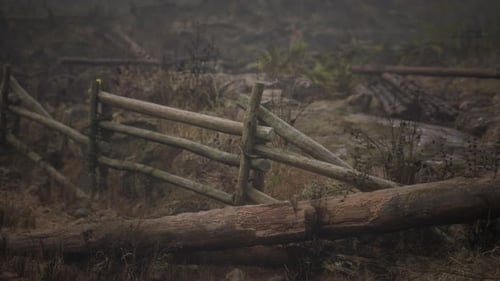 An Old Wood Fence with a Country Field Behind It