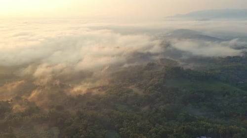 Aerial view of foggy morning of tropical rainforest that shrouded by mist. Sea of clouds over the fo
