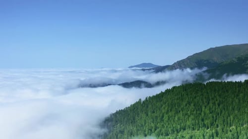 Sea of clouds landscape from mountain at above the cloud.Mists over forest and black sea meadows.Moi