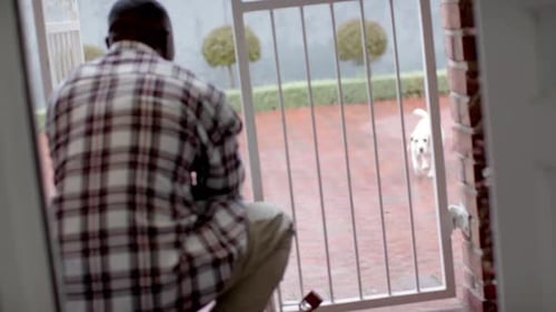 African american man standing in door greeting his pet dog at home, slow motion