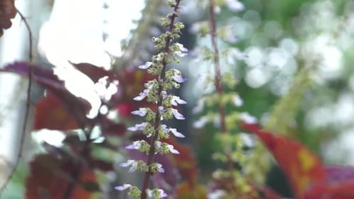 a flower that began to grow on the stem of a branch that was blown off by the wind.
