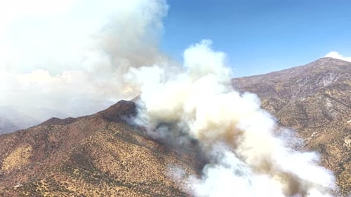 Drohnenaufnahme eines aktiven Waldbrandes, der sich durch trockene Vegetation ausbreitet, mit Flammen und dicken
