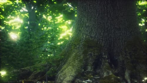 The Primeval Forest with Mossed Ground