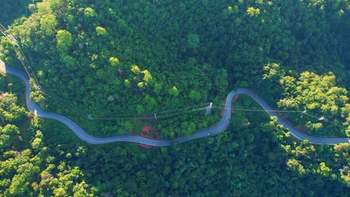 Autos fahren auf kurvenreicher Straße im berggrünen tropischen Regenwald