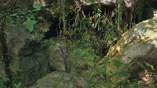 POV Journey into a Mysterious Jungle Cave Entrance