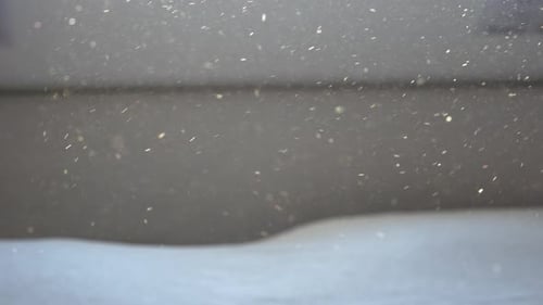 Natural Dust Particles Float On Shallow Depth Of Field. Close Up