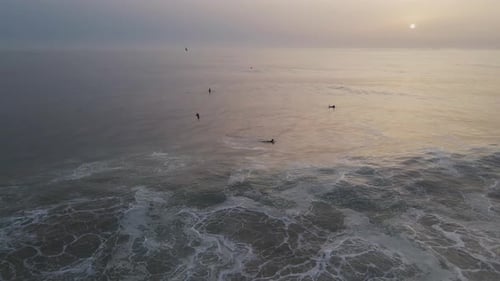 Aerial view of surfers in the ocean, Portugal.