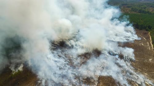 Aerial View of White Smoke From Forest Fire Rising Up Polluting Atmosphere