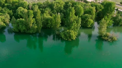 Aerial view of water reservoir with green trees