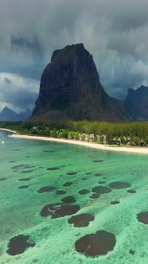 Close Up Fly Over Palm Trees and Beautiful Beach Lagoon Paradise Island in Mauritius Landscape View