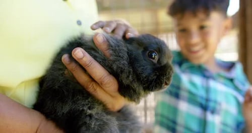 Adult Holds Rabbit as Child Smiles